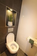 IMG_6795.JPG