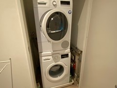IMG_3904.JPEG