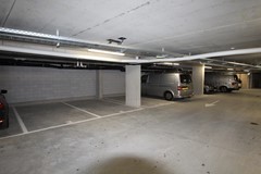 img_6153.jpg