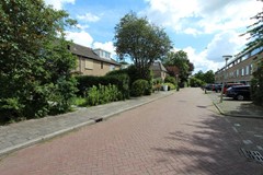 IMG_9953.JPG