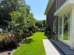 IMG_6933.JPEG