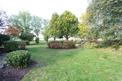 IMG_6372.JPG