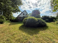 IMG_6320.JPEG
