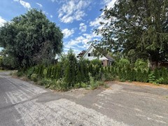IMG_6339.JPEG