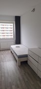 For rent: Jisperveldstraat 367, 1024 AS Amsterdam
