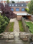 IMG_1553.jpg