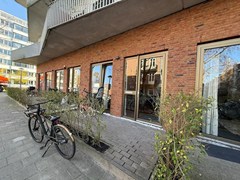 IMG_5222.JPEG