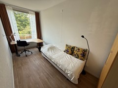IMG_5143.JPEG
