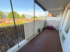 IMG_9242.JPEG