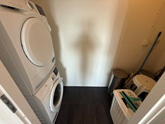 IMG_7334.JPEG