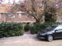 For rent: Heemraadschapslaan 10, 1181 VB Amstelveen