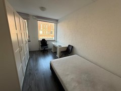 IMG_8167.JPEG