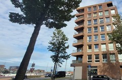 For rent: Cas Oorthuyskade 258, 1087 DP Amsterdam