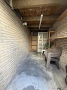 IMG_7288.JPG