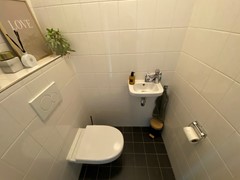 IMG_7665.JPG