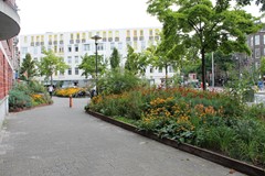 Rented: Krugerplein, 1091 KX Amsterdam