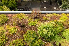 Madurastraat 8e, Amsterdam 25.jpg