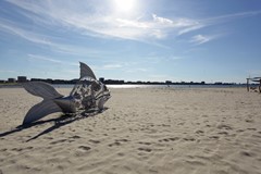 Johan van der Keukenstraat 79 Amsterdam 22.JPG