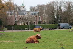 For rent: Gaslaan 3, 3741 WJ Baarn