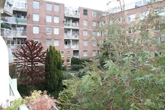 IMG_8582.JPG