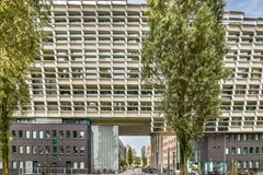 Rented: Borneolaan 209, 1019 HX Amsterdam