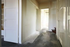 IMG_1524.jpg