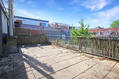 IMG_1548.jpg