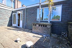 IMG_1550.jpg