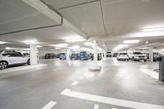 IMG_2102.jpg