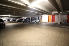 IMG_2208.JPG
