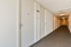 Westerdoksdijk 327 - 5.jpg