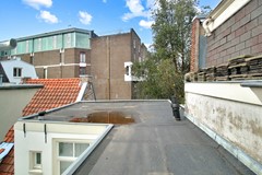IMG_2898.jpg