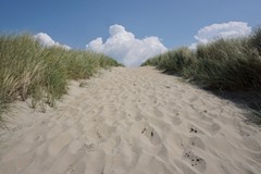 Strand-Zuid-Zandvoort-Nederland.jpeg