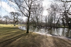 For sale: Van Hogendorpstraat 125-2, 1051 BL Amsterdam