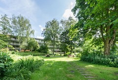 For rent: Bramzeilhof 108, 1034 LK Amsterdam