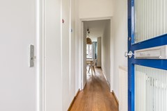 Havikshort 36 04.jpg