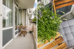 Havikshort 36 23.jpg