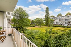 Havikshort 36 25.jpg