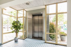 Havikshort 36 03.jpg