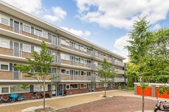 Havikshort 36 01.jpg