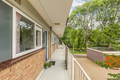 Havikshort 36 02.jpg