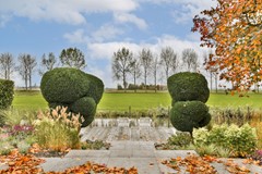 Branding 14 - 18.jpg