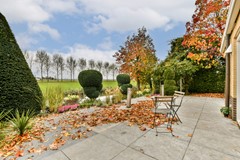 Branding 14 - 16.jpg