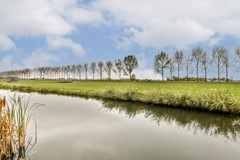 Branding 14 - 19.jpg