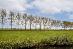 Branding 14 - 52.jpg