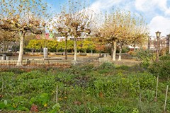 Jacob van Lennepstraat 241 B-08.jpg