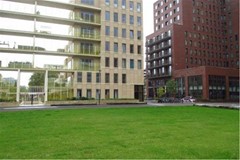 For rent:Rosy Wertheimstraat 30, 1082 MZ Amsterdam - Photo