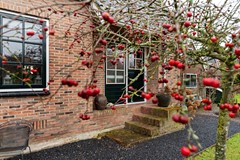 Dorpsstraat 14-08.jpg