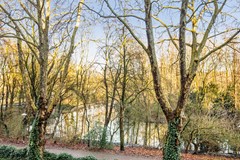 Mercatorstraat 155 2 hoog     12.jpg