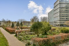 Bos en Lommerplantsoen 27-B-15.jpg